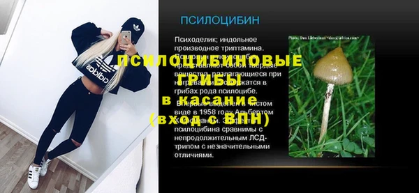 стаф Баксан
