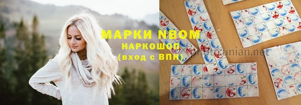 стаф Баксан