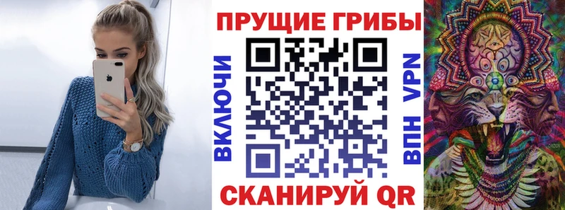 Псилоцибиновые грибы прущие грибы  Купить закладки  Городец 